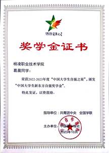 中国大学生自强之星